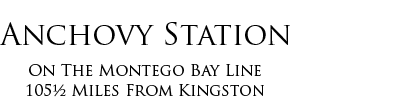ANCHOVY STATION