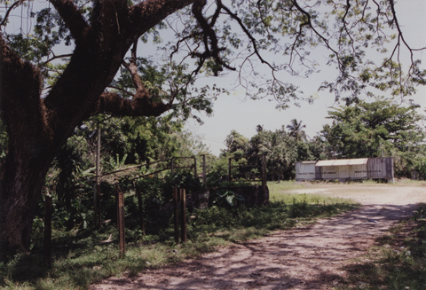 Photo of St. Margarets Bay property in 2000