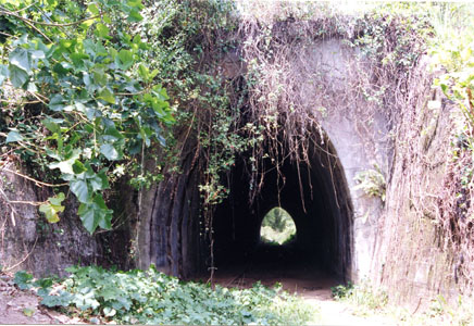 Small tunnel near Bog Walk in 2000